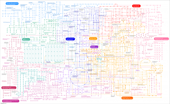 Bodily Chemical Chart