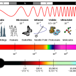 antimatter light spectrum