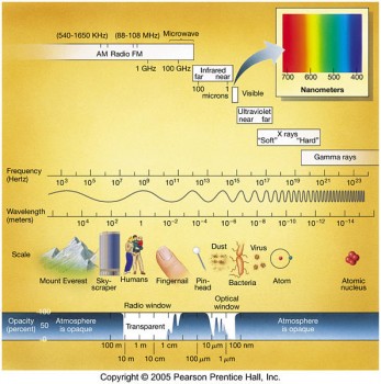 Frequency Wave Length