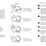 How to Perform a Tracheotomy