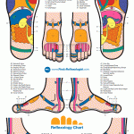 Reflexology Chart