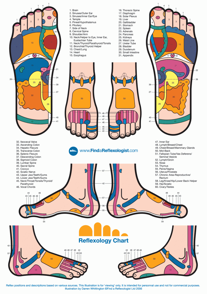 Reflexology Chart