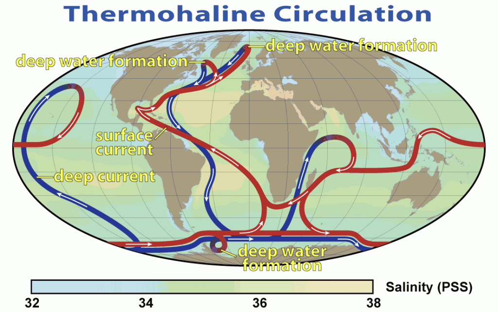 Thermohaline Circulation