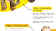 Blonde Hair or honest-hair is a hair shade portrayed by flat levels of the dull color eumelanin. The resultant unmistakable shade relies on diverse elements, however constantly has some sort […]