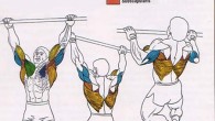 A pull-up is an assortment of upper-form compound pulling movements with the end goal of practice. The most well known current significance points to a shut-chain bodyweight development where the […]