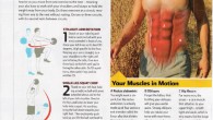 The Sculpting Abs muscle is even and triangular, with its strands running on a level plane. It lies between the inward angled and the underlying transversalis sash. It begins from […]