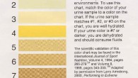 A urine test strip or dipstick is an essential indicative instrument used to confirm obsessive updates in the pee in standard urinalysis. A standard pee test strip might embody up […]